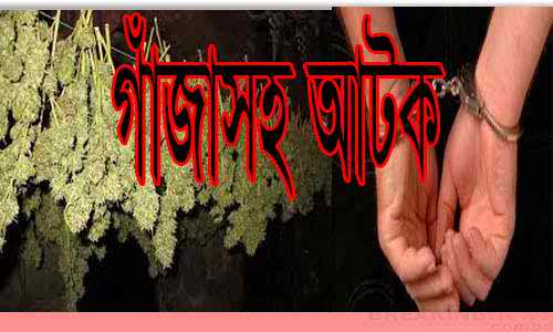 কুমিল্লায় একশ’ কেজি গাঁজাসহ ও দুটি মাইক্রোবাস সহ গ্রেফতার ৩