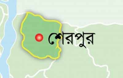 শেরপুরে স্ত্রীর গলা কাটা লাশ উদ্ধার,পলাতক স্বামী ।।