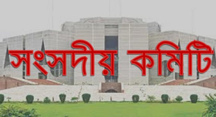 সংসদ অধিবেশনে ত্রাণ মন্ত্রণালয়ের বিদেশ সফরের হিসাব চাইল সংসদীয় কমিটি ।।