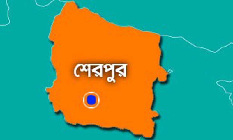 শেরপুরে বজ্রপাত থেকে অগ্নিকাণ্ডে এক সাংবাদিকের বসতবাড়ি ভস্মীভূত