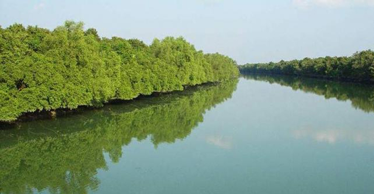 বনদস্যু জাহাঙ্গীর বাহিনীর হাতে সুন্দরবনের থেকে ১৫ জেলেকে অপহরণ