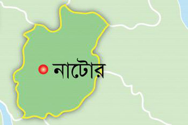 নাটোরে নম্বরবিহীন মোটরসাইকেল ও ফেনসিডিলসহ আটক ২