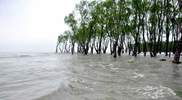 গত দুইদিনে জোয়ারের পানিতে কাউখালীর ১৬ গ্রাম প্লাবিত