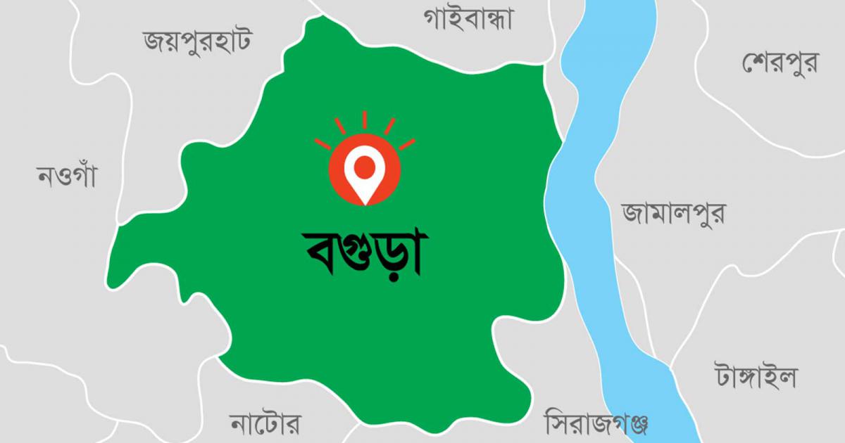 দুই ছেলের মারামারি ঠেকাতে প্রাণ গেল মায়ের