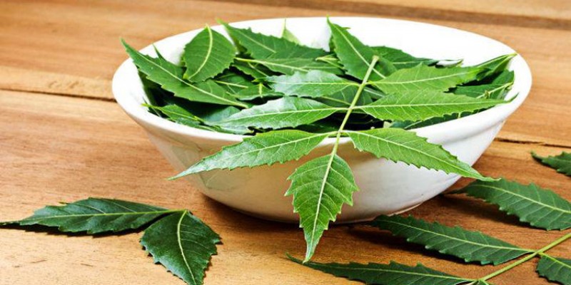 ডায়াবেটিস নিরাময়ে নিমের উপকারিতা
