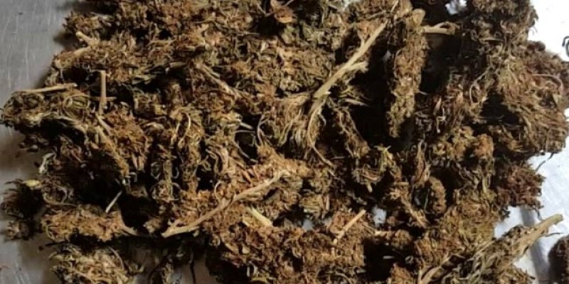 দাউদকান্দিতে স্বরাষ্ট্র মন্ত্রণালয়ের স্টিকার লাগানো গাড়ি থেকে ৮০ কেজি গাঁজা উদ্ধার॥