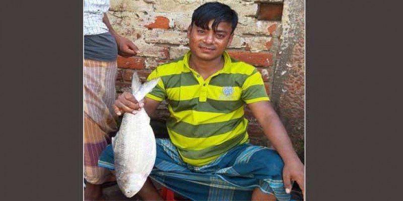কক্সবাজারে ধরা পড়ল আড়াই কেজির ইলিশ !