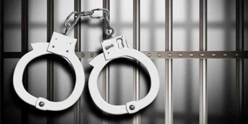 কুমিল্লা পাসপোর্ট অফিস থেকে ১১ দালাল আটক ।।