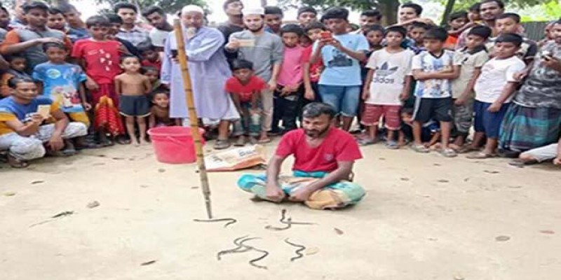 নারায়ণগঞ্জে বসত ঘরে থেকে ৮টি বিষাক্ত সাপ উদ্ধার॥