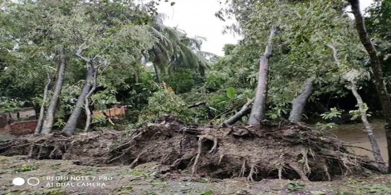 ঘূর্নিঝড় বুলবুলের তান্ডব॥ সাতক্ষিরার সহস্রাধিক ঘরবাড়ি বিধ্বস্ত