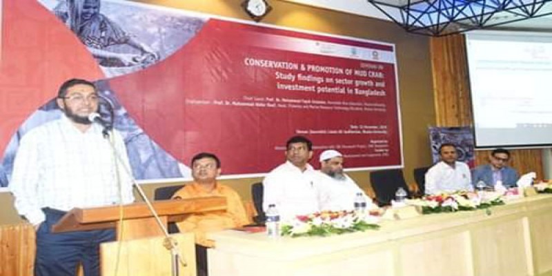 খুলনা বিশ্ববিদ্যালয়ের গবেষণায় কাঁকড়ার নতুন প্রজনন মৌসুম চিহ্নিত॥