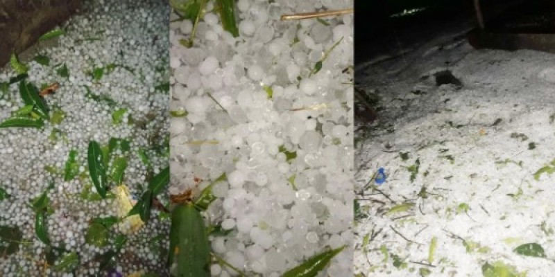 চাঁপাইনবাবগঞ্জ ১০ মিনিটের শিলায় আম চাষিদের স্বপ্ন শেষ॥