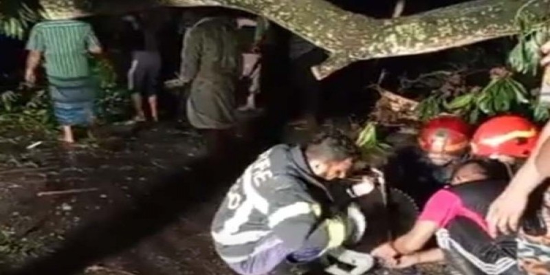সিলেটে ঝড়ে গাছ পড়ে পথচারীর মৃত্যু।।