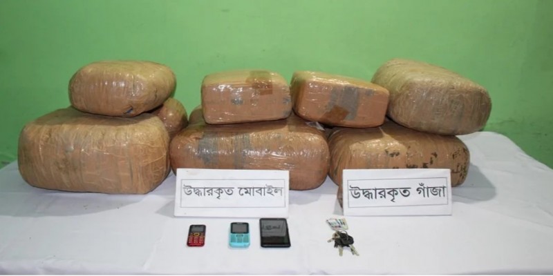 ফরিদপুরে ৬৩ কেজি গাঁজাসহ আটক ১ ।।