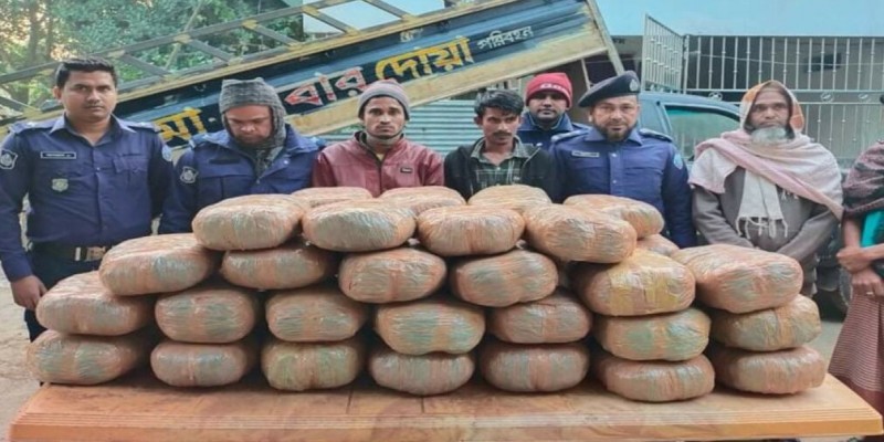 বিজয়নগর থেকে ঢাকায় নেওয়া হচ্ছিল ১০০ কেজি গাঁজা।।