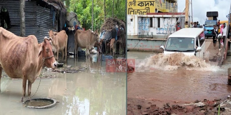 ভোলার মেঘনায় পানি বেড়ে ১২ গ্রাম প্লাবিত।।