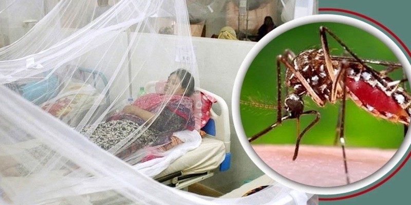 দেশে ডেঙ্গুতে আরও ৫ জনের মৃত্যু