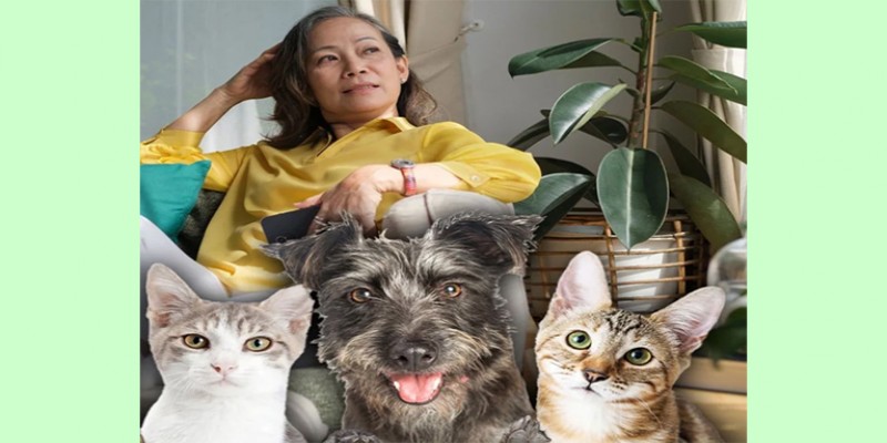 সন্তানরা দেখাশোনা না করায় সব সম্পত্তি কুকুর-বিড়ালকে লিখে দিলেন এক চীনা নারী॥