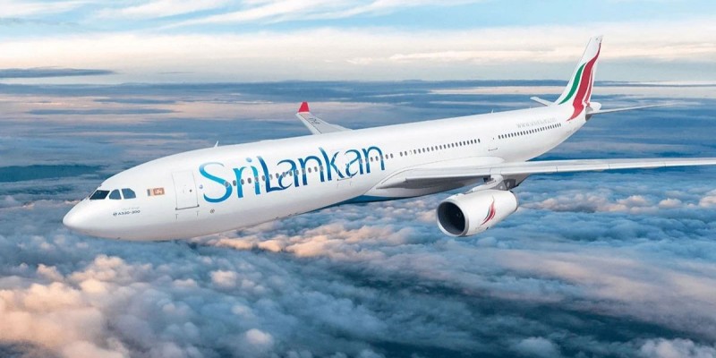 ইঁদুরের ‘ভয়ে’ তিন দিনের জন্য প্লেনের উড্ডয়ন বাতিল করল শ্রীলঙ্কান এয়ারলাইন্স॥