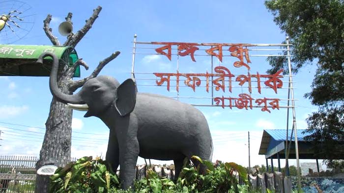 বঙ্গবন্ধু সাফারি পার্ক ঘুরে দেখলেন তথ্যপ্রযুক্তি বিষয়ক উপদেষ্টা সজীব ওয়াজেদ জয়।।