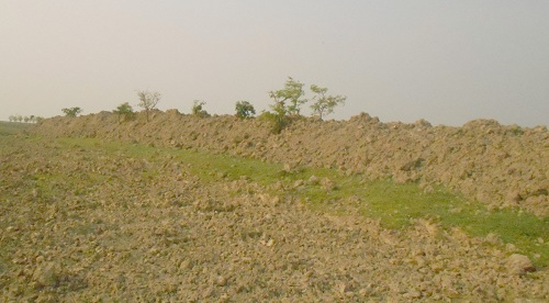 জামালগঞ্জে হাওর রক্ষার বাঁধ পরিদর্শন